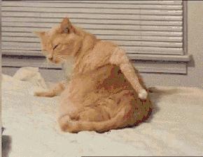 洗澡用什么洗才好用,洗澡洗头最快的洗法