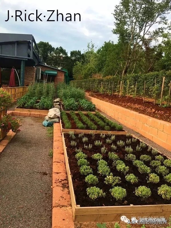 城市蔬菜园景观设计,蔬菜花园造型