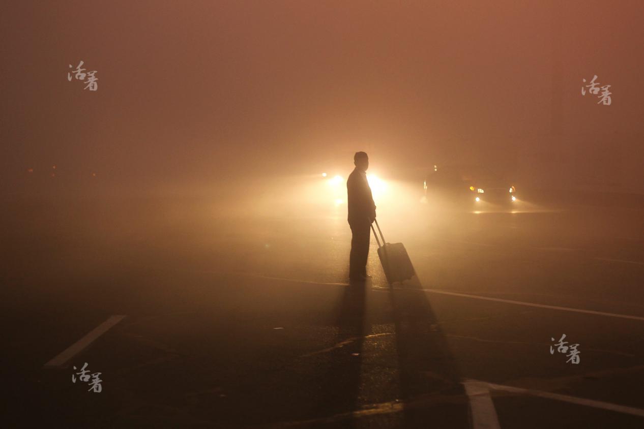 品金｜沙漠、骆驼，在这繁乱的当下如何拥有颗自由之心，你造吗？