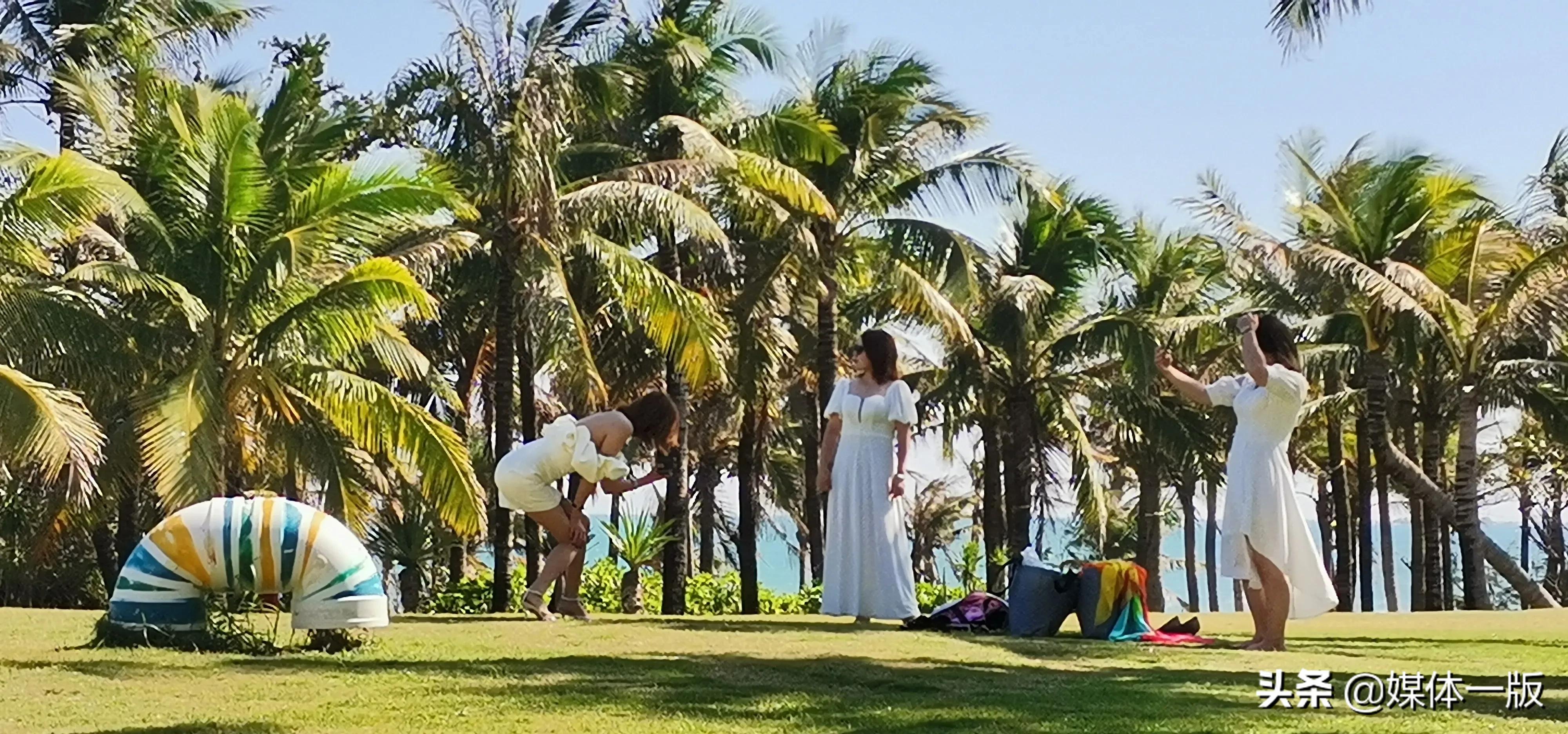 三亚海棠湾红树林和亚特兰蒂斯,去红树林值得吗