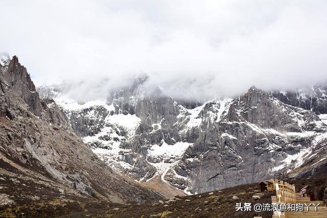 年保玉则现在开放了吗,年保玉则为啥被封