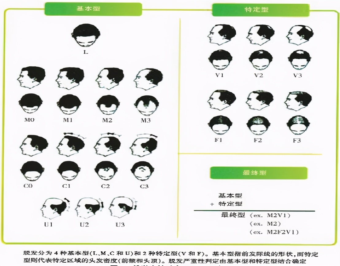 长期脱发怎么补气血,23岁脱发严重发量少怎么办