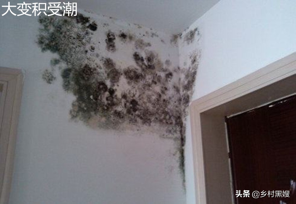 农村自建房房屋防潮最好方法,农村自建房用什么防潮最好