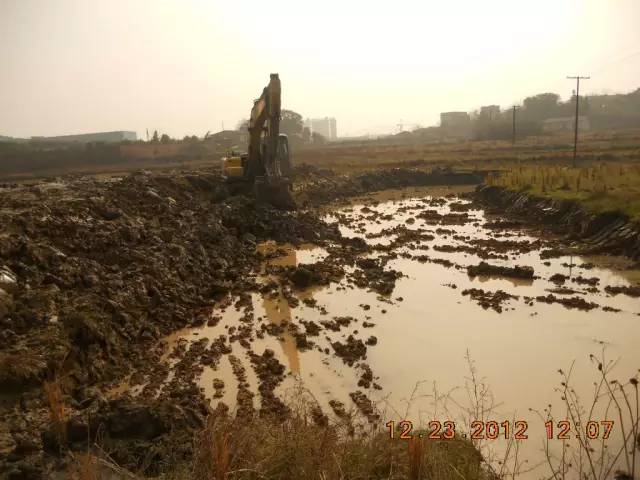 湖南最好的锦鲤养殖基地,湘潭锦鲤养殖