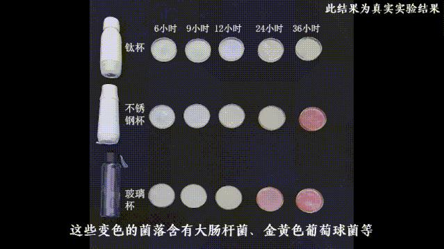 钛保温杯哪个品牌最好,虎牌和膳魔师象印保温杯哪个更好