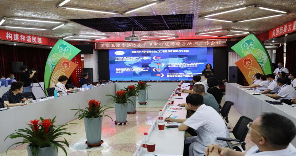 *家屯苏**区中医医院接受国家卫健委脑防委高级卒中中心现场评审验收