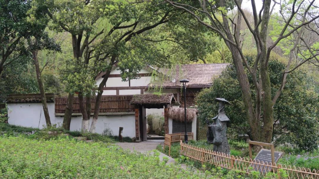 杭州西湖3天2晚自由行攻略,24小时杭州之旅