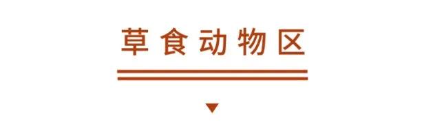 野生动物王国值不值得去,北方新开的动物王国