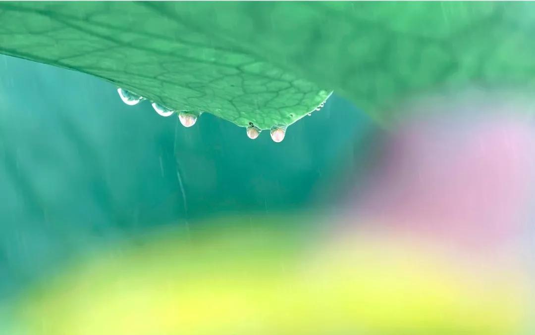 愿你一生不负红尘的诗句,六首诗词愿你岁月不老不负此生