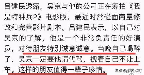 吴京电影宝藏,吴京演了无价之宝吗