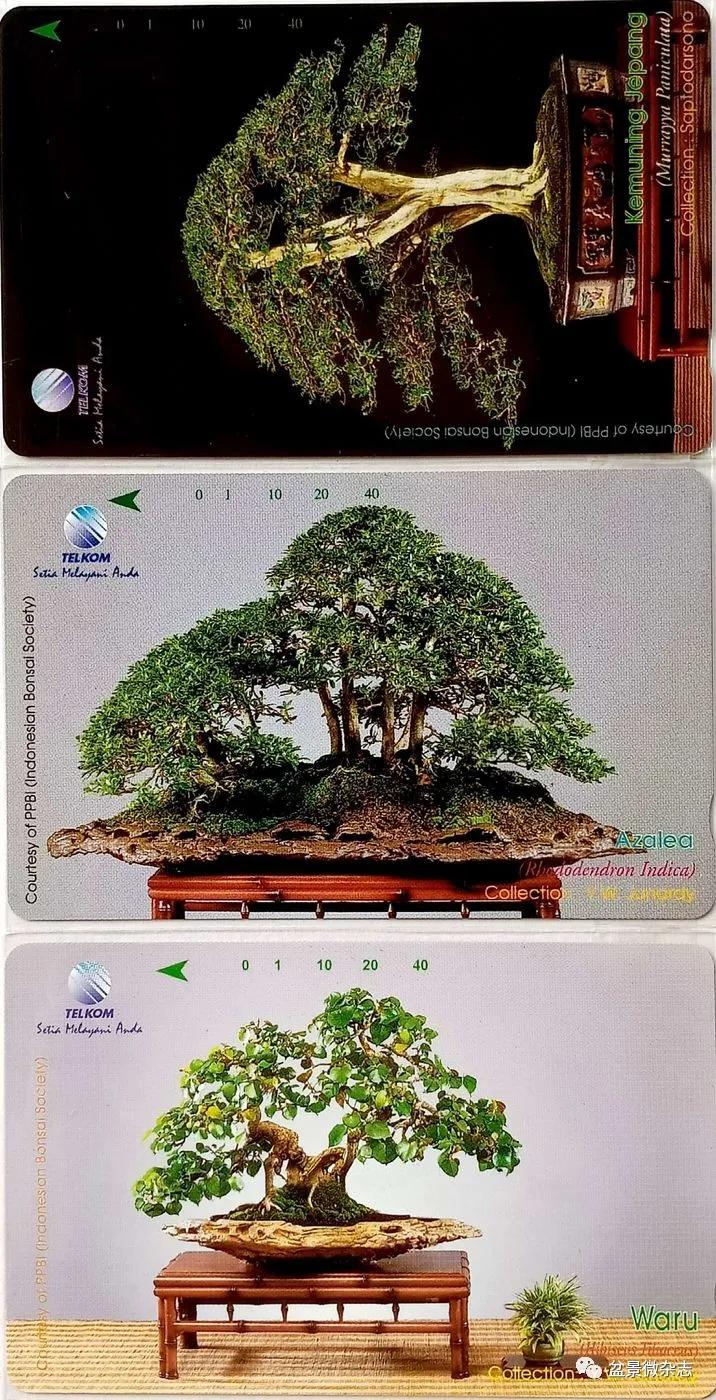 鐩嗘櫙鑱旂郴鐢佃瘽鍙风爜,涓鐩嗘櫙鑱旂郴鏂瑰紡