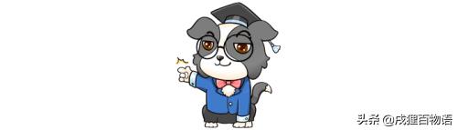 不同品牌的疫苗可以混打么,犬疫苗不同品牌可以混打吗