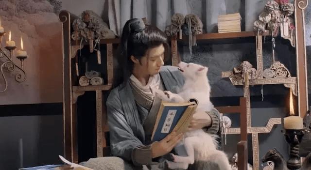 网大版《封神》上映，女主“裹着几块布”秀身材，又毁了一部经典