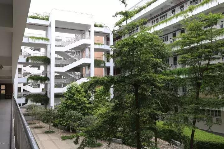 微巡礼丨南山“后起之秀”—深圳市第二高级中学