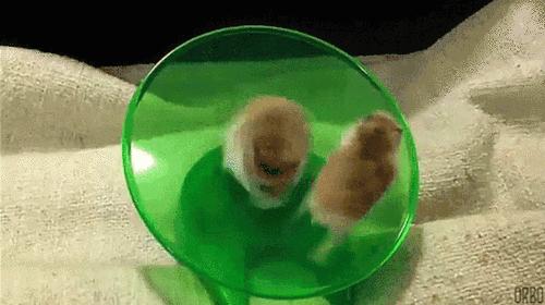 虽然她是在鄙视，不过我突然有了个大胆的想法