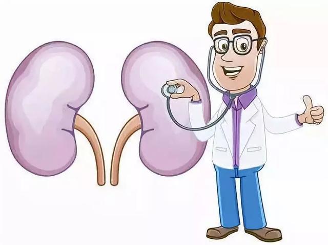 一喝水就尿多是肾脏出问题了吗,一喝水就尿多代表肾脏好还是不好