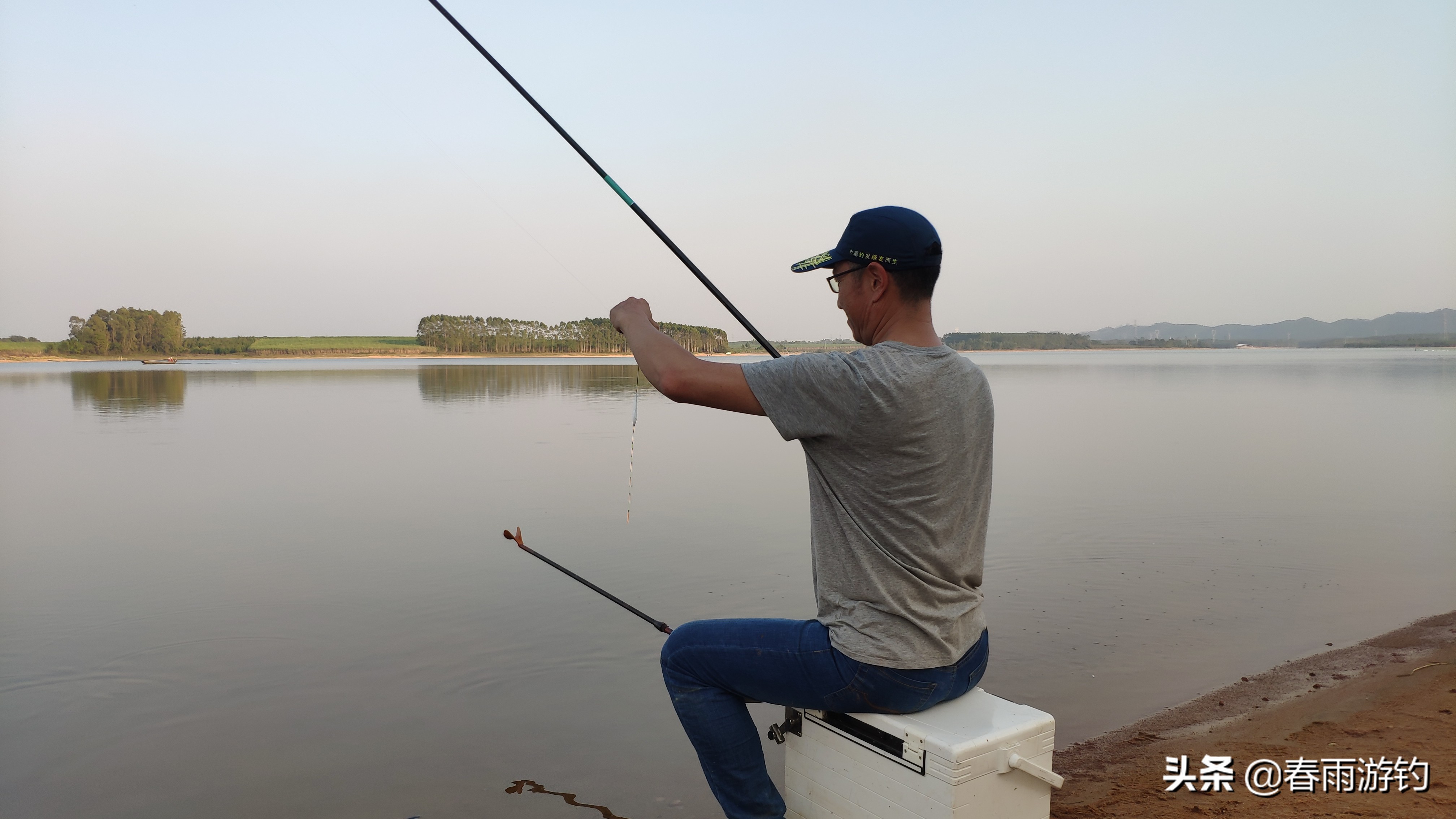 邕江小罗非闹窝,北海清水江钓罗非