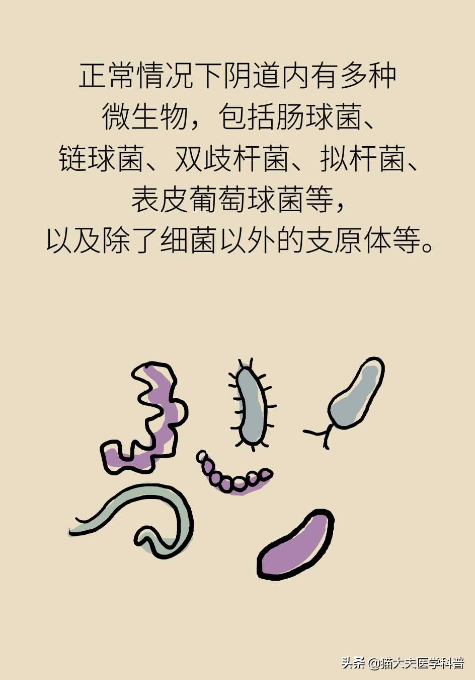 阴道炎会导致宫颈癌吗？