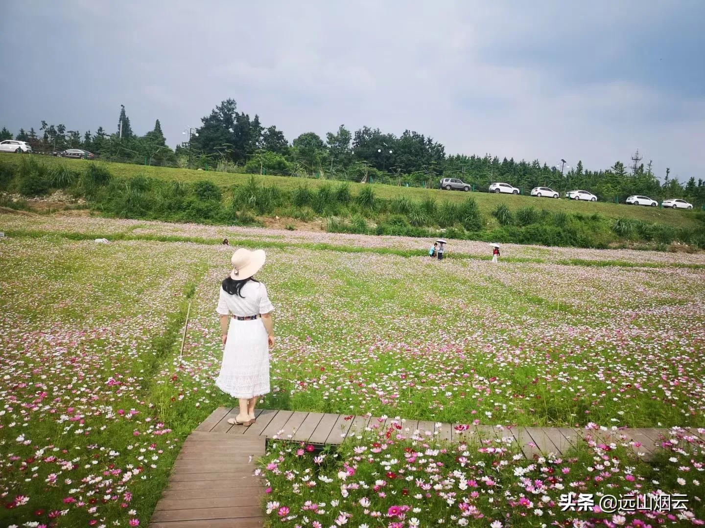 三个方法拍照,自己用自拍杆如何拍照不露杆