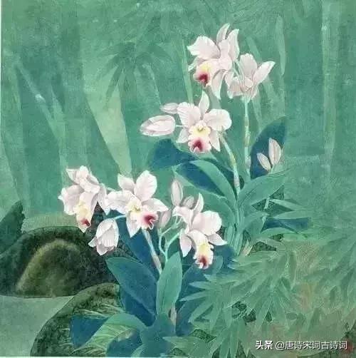 古人幽默古诗,趣味古诗跟读