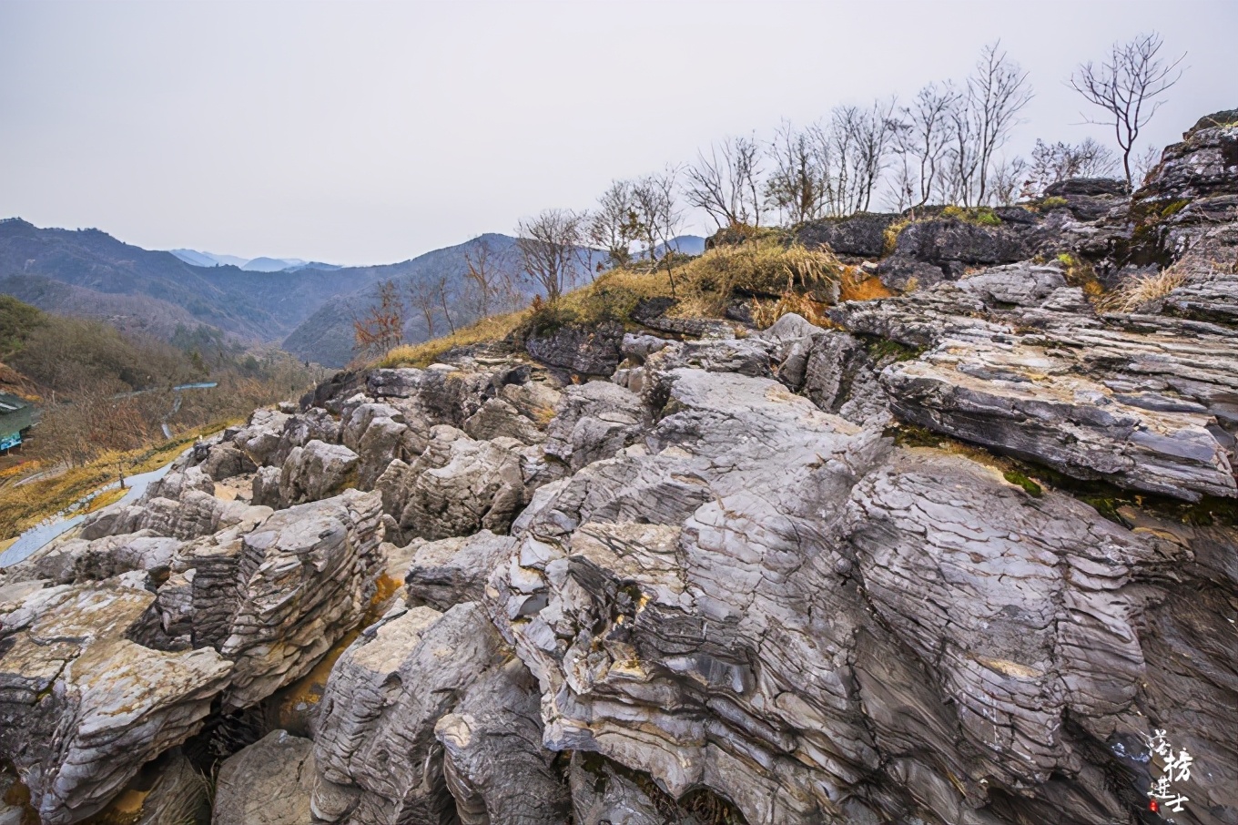 黄山西递古村落景点简介,黄山市西递古村落图片