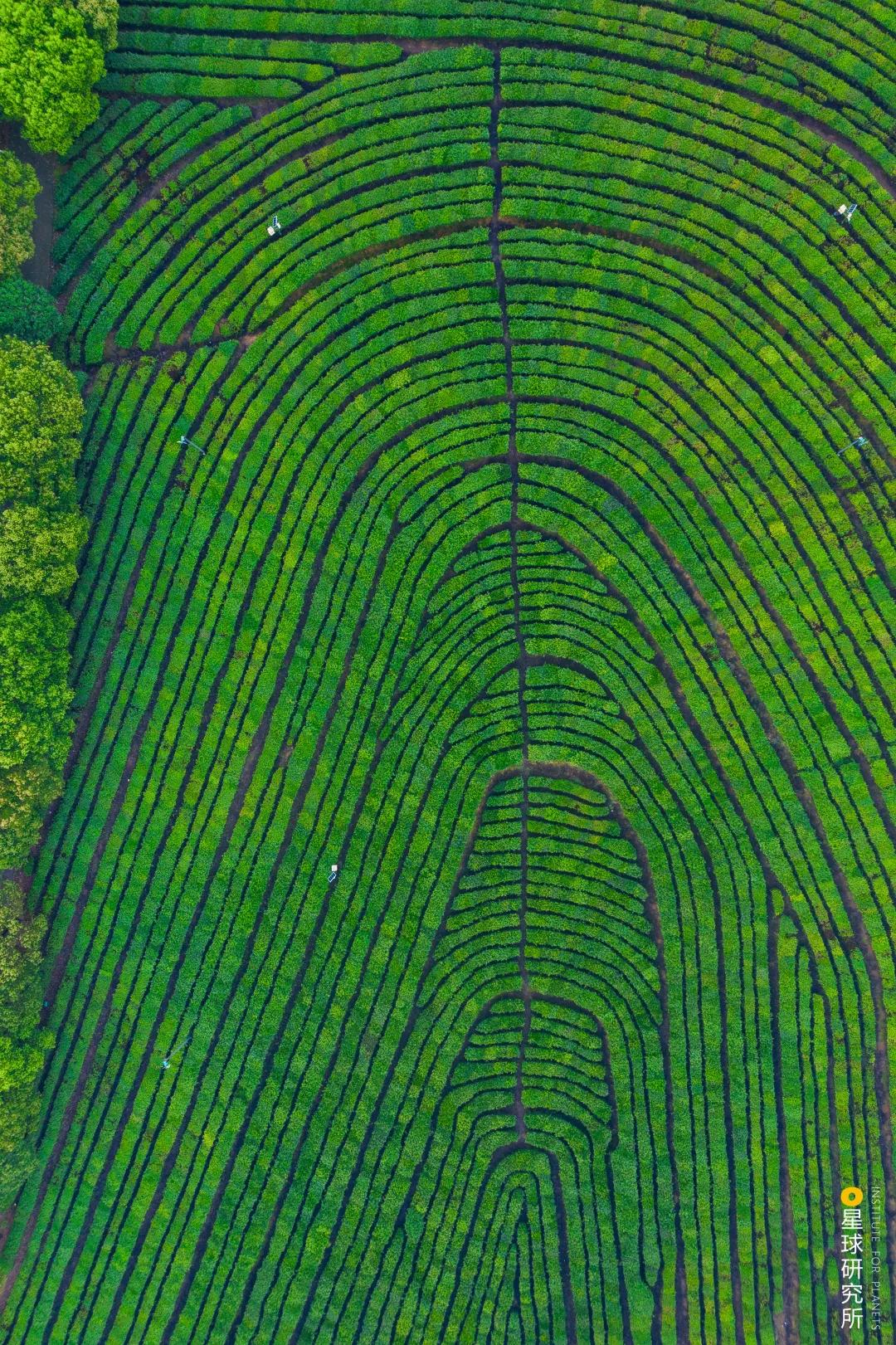 南京高淳哪个区发展最好,南京高淳值得去的风景区免费