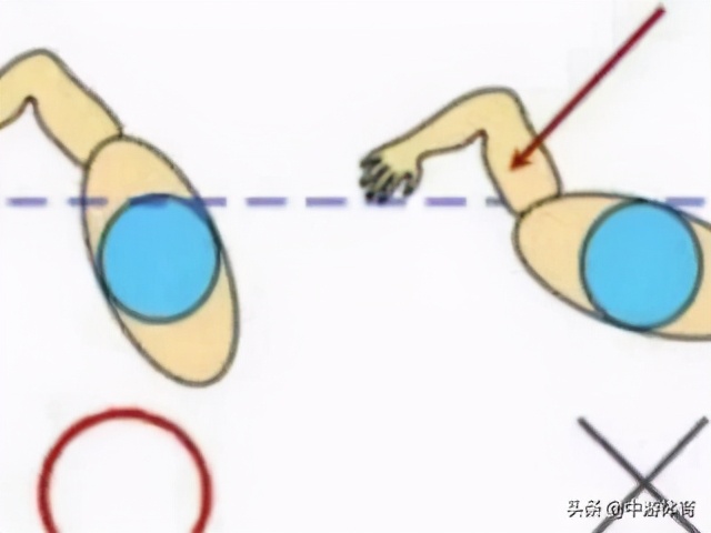 如何自由泳游得快又轻松,自由泳如何游得更快又远