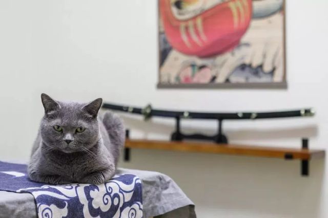 每天只接待12人的餐厅,天津私房菜馆