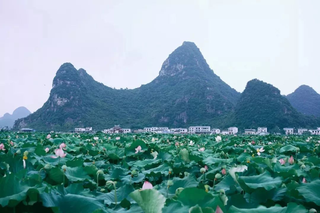广西有座小城,广西这个宜居小城很低调