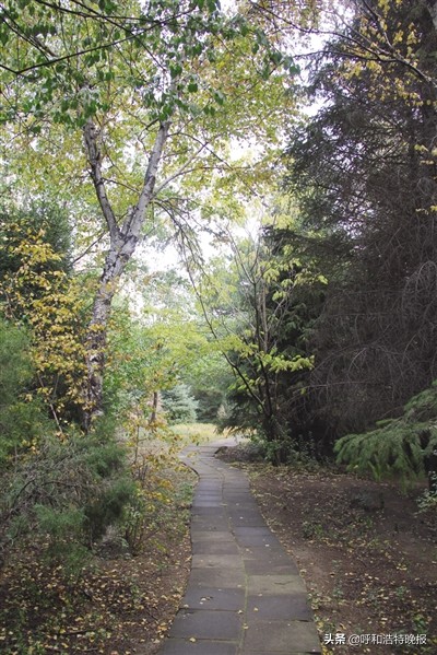 青城眼旅游攻略,青城美景