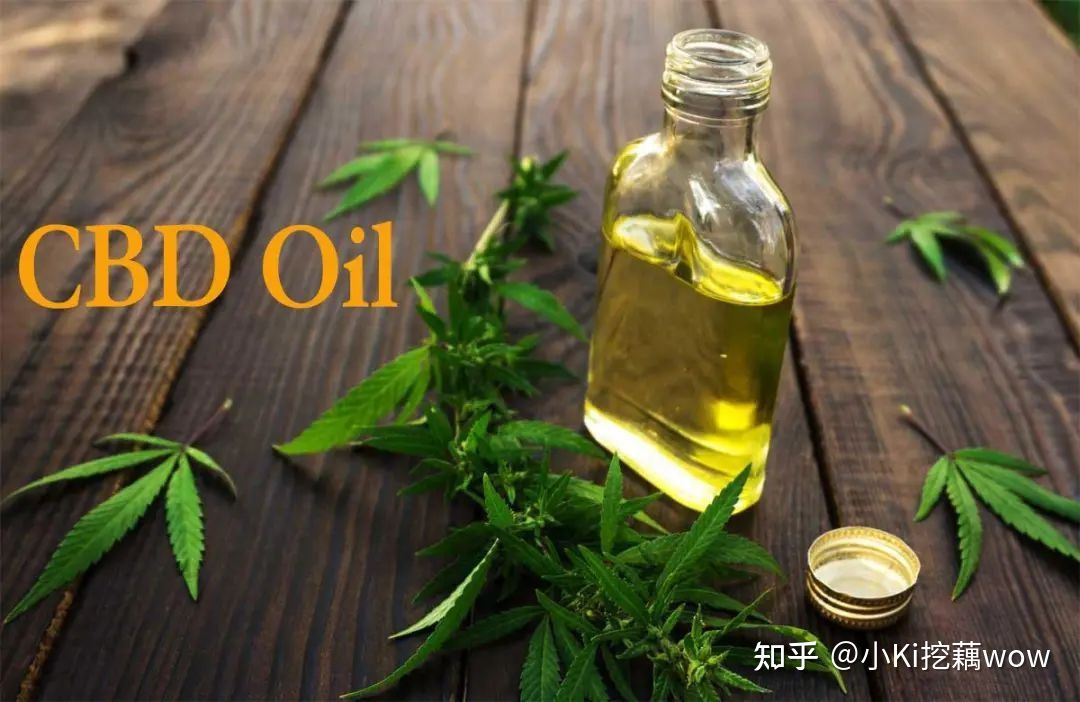 cbd成分为什么被禁用,cbd是什么成分的产品