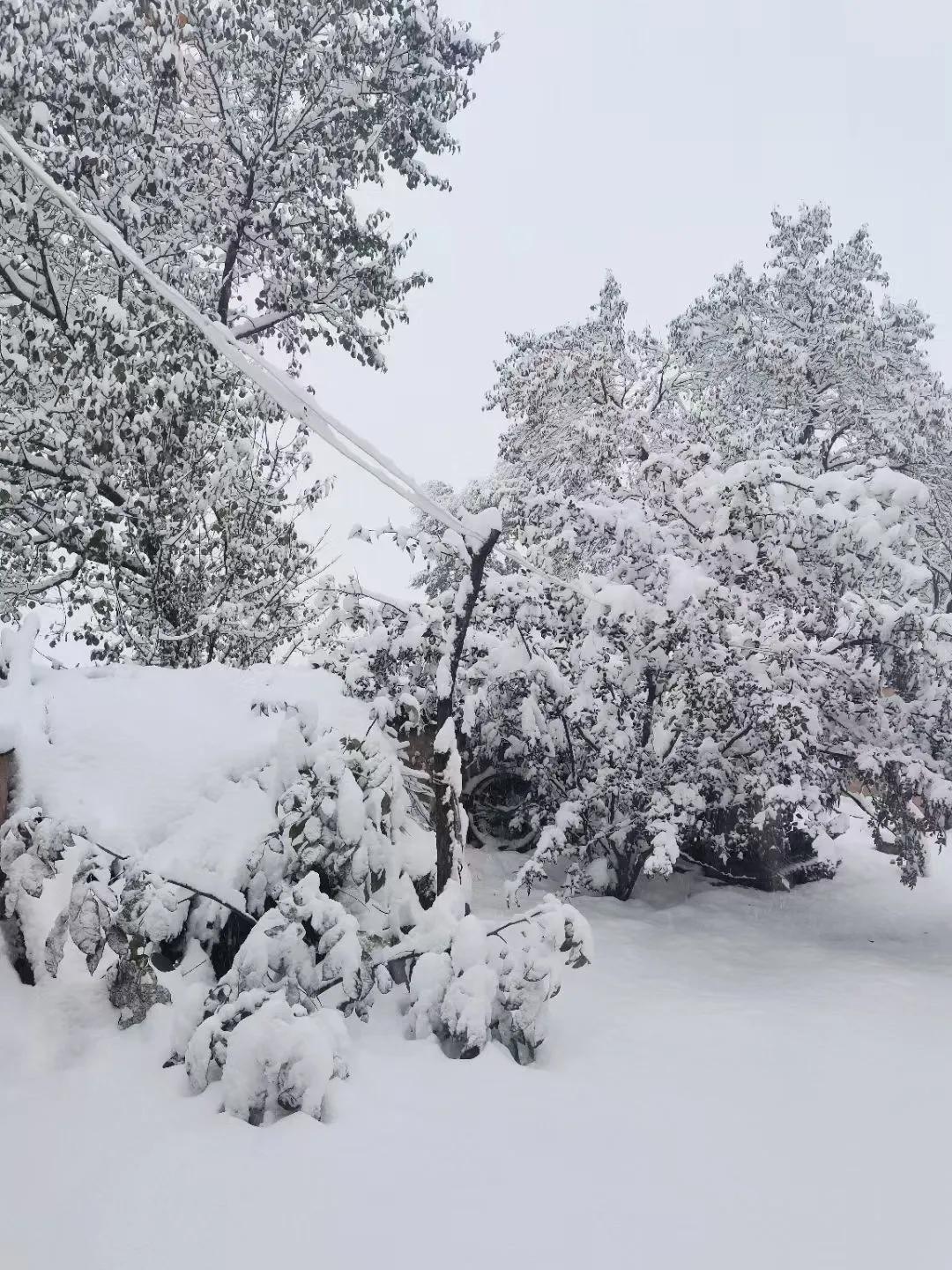 平凉崆峒区四路车现在停运了吗,平凉长途客车停运了吗