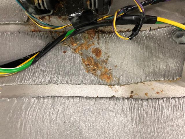 20年老汽车内饰清洗教学全过程,汽车内饰深度清洁施工细节