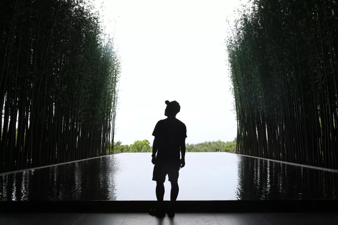 城市酒店好还是民宿好,度假酒店与城市酒店