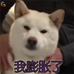 为什么清华北大也有招生老师,北大清华招生老师抢人大战