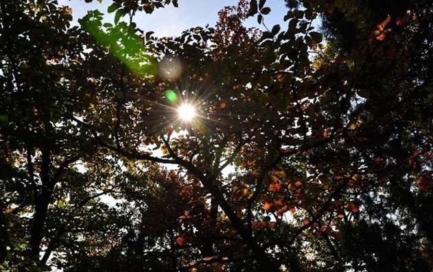 如何防止灯具眩光,房间灯光刺眼如何遮挡