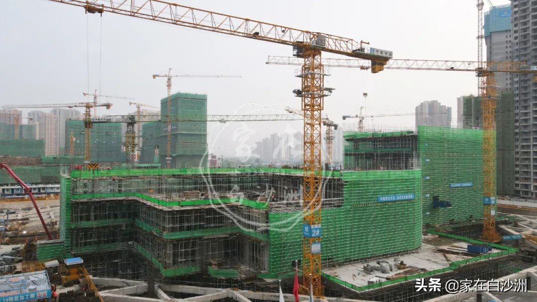 省妇幼洪山院区现状,省妇幼洪山院区航拍