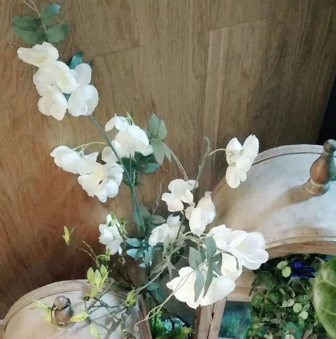 你难道还傻乎乎的认为鲜花比仿真花贵吗？