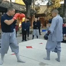 搞笑gif妹子你确定不是来搞笑的,搞笑gif妹子这手速老厉害了