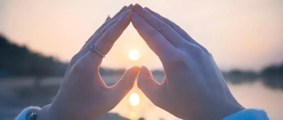 凤凰运势|2019年十二生肖运程视频预测-No.12生肖猪