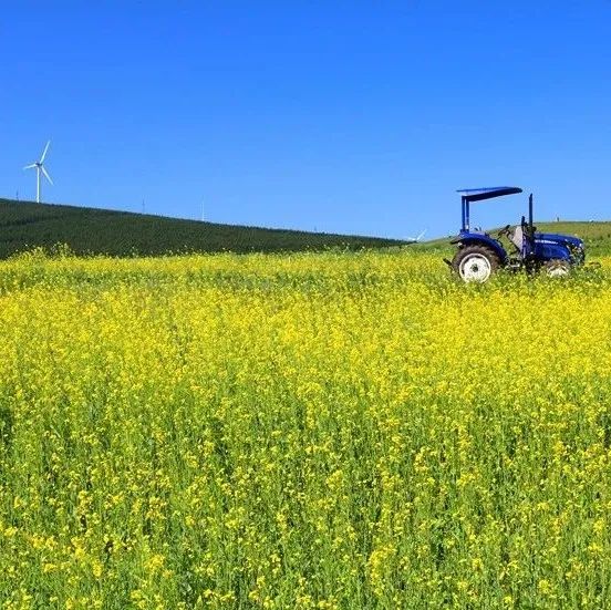 中国天路震撼视频,中国十大惊艳的天路
