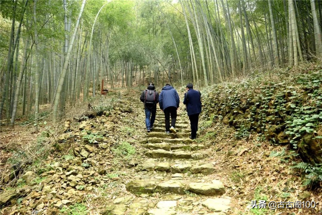 萧绍古道完整版,萧绍古道高度