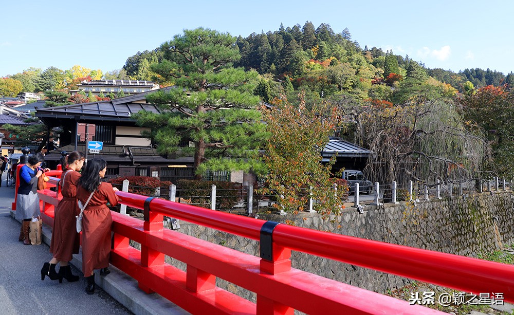 日本锅和德国锅哪个好,日本上万的锅