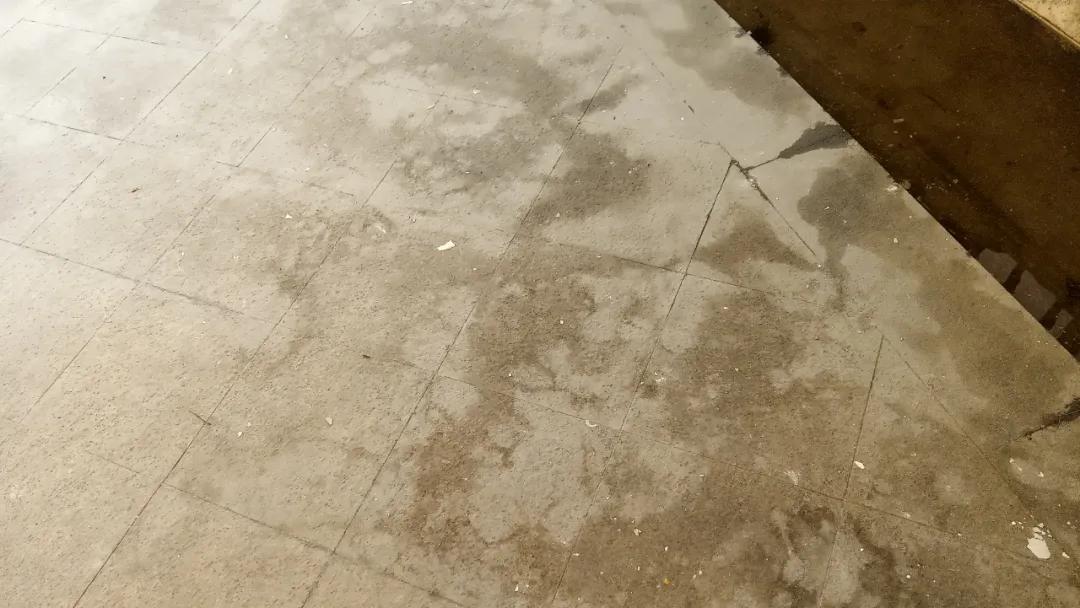 中房和万科物业哪个好,中房物业vs金佳物业