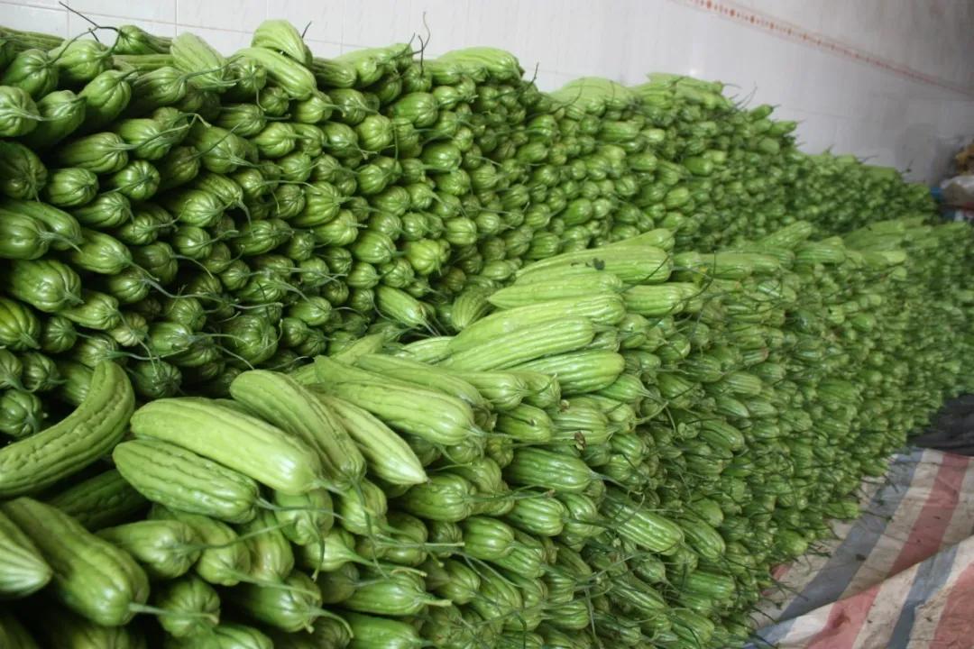 【农产品供求信息看这里!】南宁市农副产品待售,有需要的采购商赶紧打电话哟~