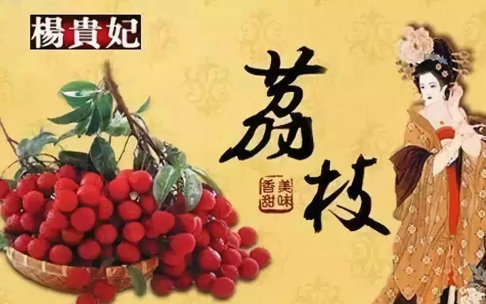 杨贵妃妃子笑荔枝,一骑红尘妃子笑杨贵妃喜欢荔枝吗