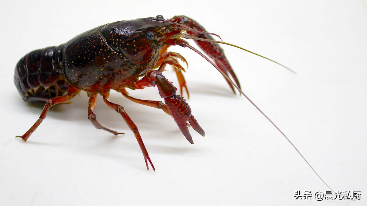 麻辣小龙虾用几种酱料,麻辣小龙虾用什么调料好吃