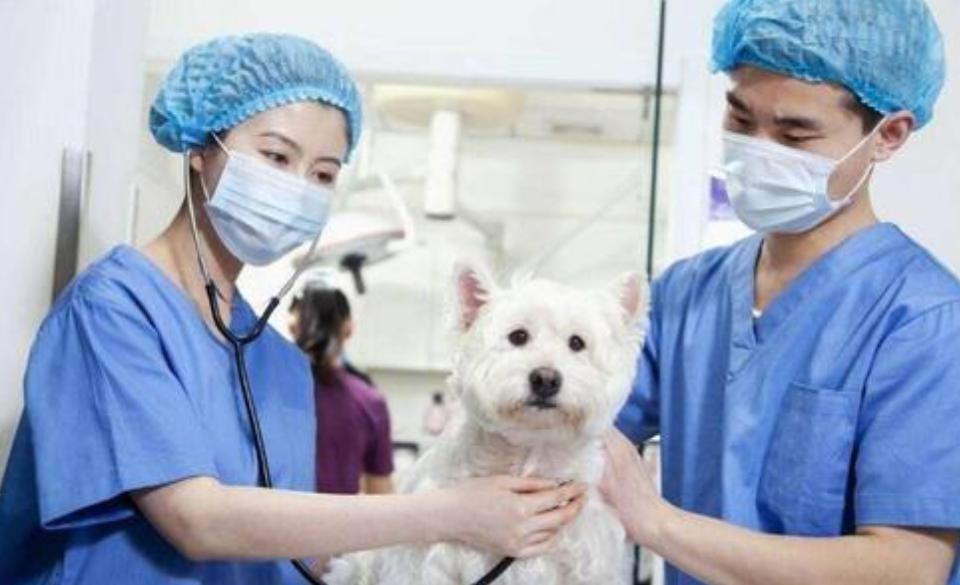 这些冷门却薪资高的专业你喜欢吗,985大学的弱势冷门专业应该读吗