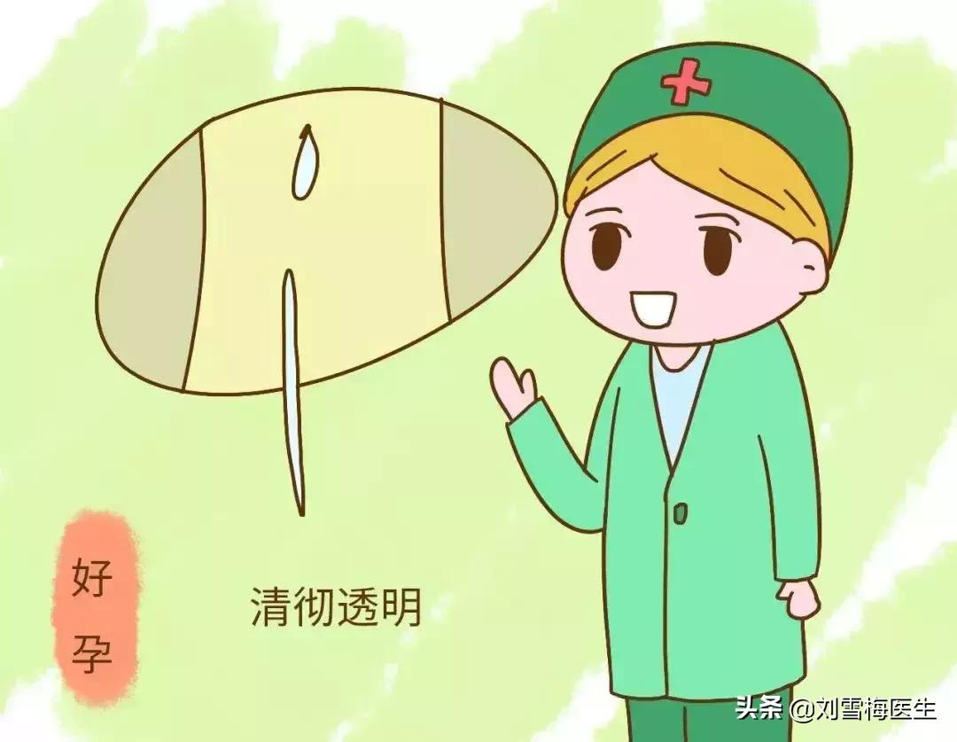 备孕的时候排卵期来几次,备孕期间怎么记录排卵期