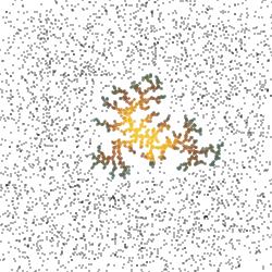 爆款图书，DK图解数学和图解科学184个数学知识点、253种科学思维